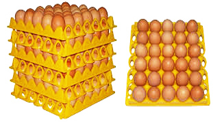 paper egg tray