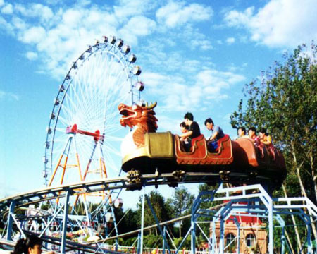 Roller Coaster Slide Dragon for sale