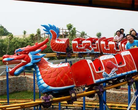 Roller Coaster Slide Dragon