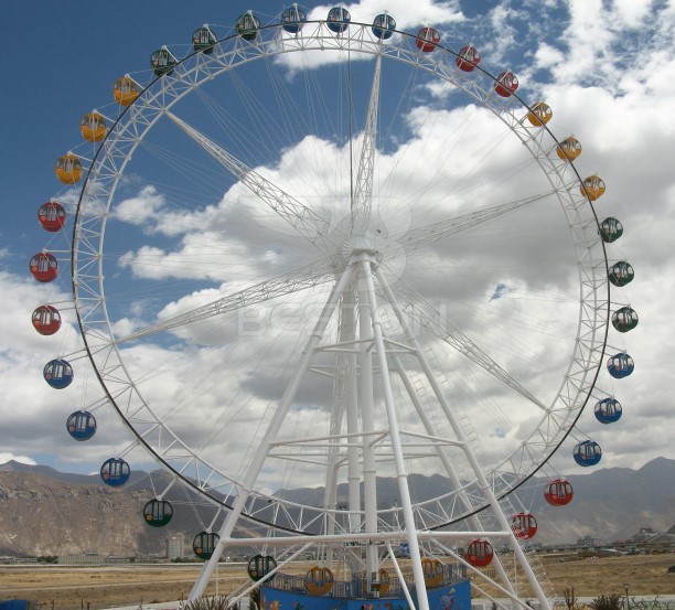 amusement park rides ferris wheels