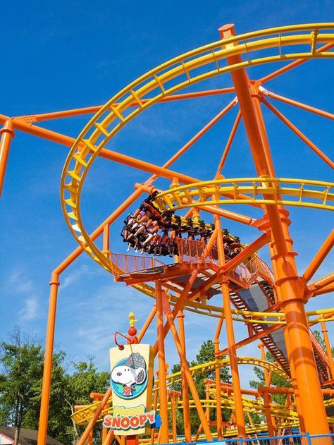Choosing the Ultimate Roller Coaster Ride for Your Amusement Park